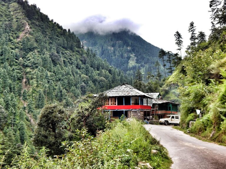 tirthan valley, great himalayan national park, himachal pradesh, himalayas, mountains, scenery, valley, nature, mount, landscape, outdoor, rock, river, range, clouds, india, green, travel, sky, tourism, asia, hill, blue, tree, field, scenic, agriculture, scene, environment, rural, summer, tibet, water, color, high, plantation, forest, hippie, charas, blue sky, chilum, tirthan valley, himachal pradesh, himachal pradesh, himachal pradesh, himachal pradesh, himachal pradesh